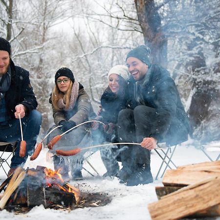 Forest Chalet, 15 Min To Salzburg Olt Town, And Most Beautiful Lakes, Secluded Location, 1,000 Sqm Garden, Mountainview, Panorama Sauna, Bath Whirlpool, Bbq&Bikes&Sunbeds For Free, Up To 10 P Голинг ан дер Залцах Екстериор снимка