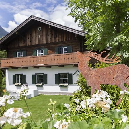Forest Chalet, 15 Min To Salzburg Olt Town, And Most Beautiful Lakes, Secluded Location, 1,000 Sqm Garden, Mountainview, Panorama Sauna, Bath Whirlpool, Bbq&Bikes&Sunbeds For Free, Up To 10 P Голинг ан дер Залцах Екстериор снимка