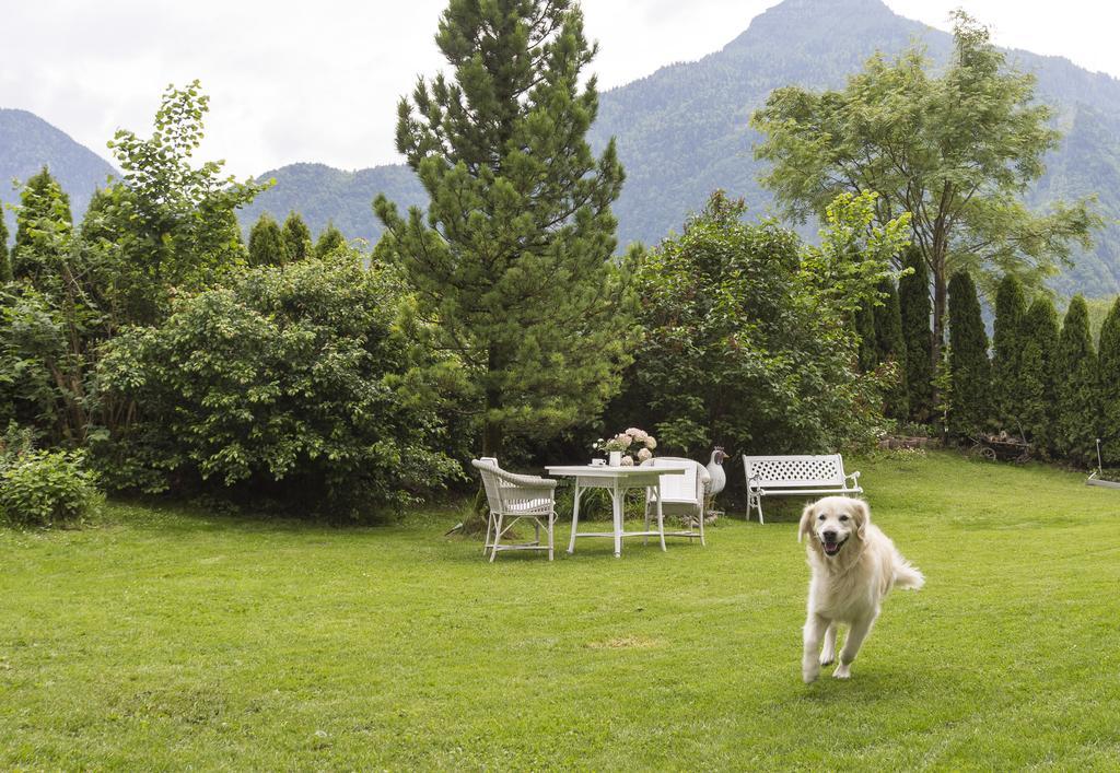 Forest Chalet, 15 Min To Salzburg Olt Town, And Most Beautiful Lakes, Secluded Location, 1,000 Sqm Garden, Mountainview, Panorama Sauna, Bath Whirlpool, Bbq&Bikes&Sunbeds For Free, Up To 10 P Голинг ан дер Залцах Екстериор снимка