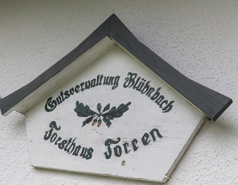 Forest Chalet, 15 Min To Salzburg Olt Town, And Most Beautiful Lakes, Secluded Location, 1,000 Sqm Garden, Mountainview, Panorama Sauna, Bath Whirlpool, Bbq&Bikes&Sunbeds For Free, Up To 10 P Голинг ан дер Залцах Екстериор снимка