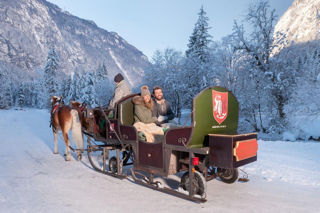 Forest Chalet, 15 Min To Salzburg Olt Town, And Most Beautiful Lakes, Secluded Location, 1,000 Sqm Garden, Mountainview, Panorama Sauna, Bath Whirlpool, Bbq&Bikes&Sunbeds For Free, Up To 10 P Голинг ан дер Залцах Екстериор снимка