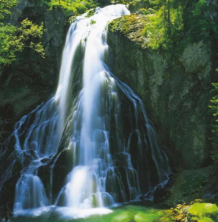 Forest Chalet, 15 Min To Salzburg Olt Town, And Most Beautiful Lakes, Secluded Location, 1,000 Sqm Garden, Mountainview, Panorama Sauna, Bath Whirlpool, Bbq&Bikes&Sunbeds For Free, Up To 10 P Голинг ан дер Залцах Екстериор снимка